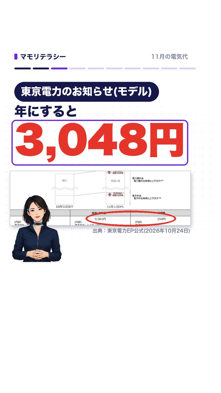 東京電力のお知らせ(モデル)。年にすると3,048円